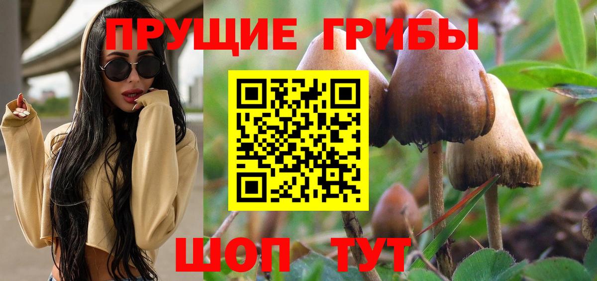 Псилоцибиновые грибы Psilocybine cubensis Луховицы